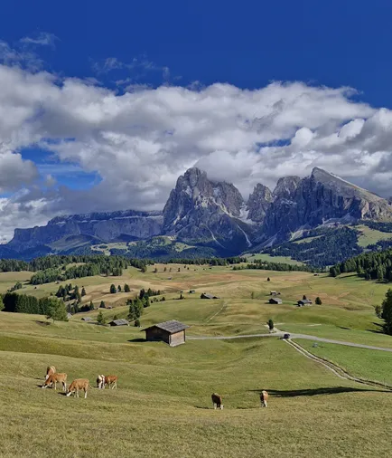 Alpe di Siusi