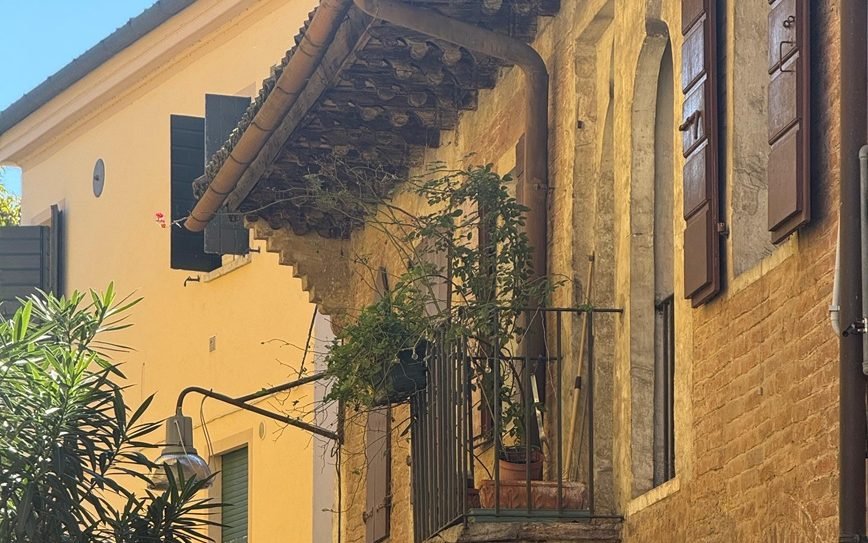 treviso