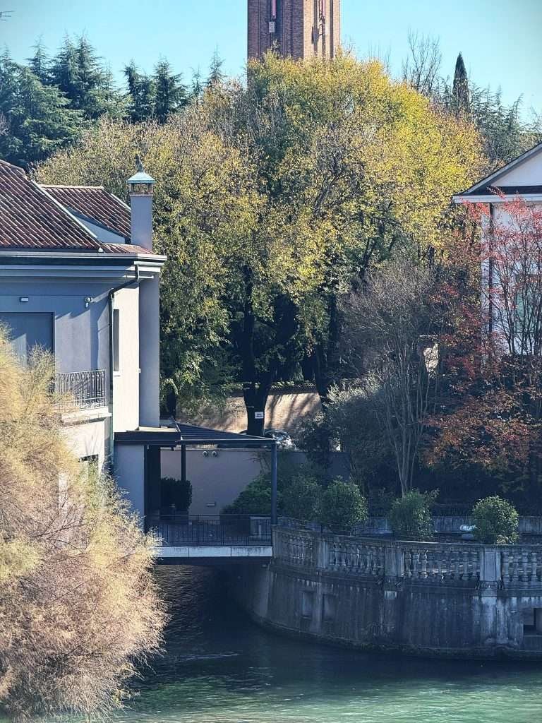 IMG 20251110 WA0029