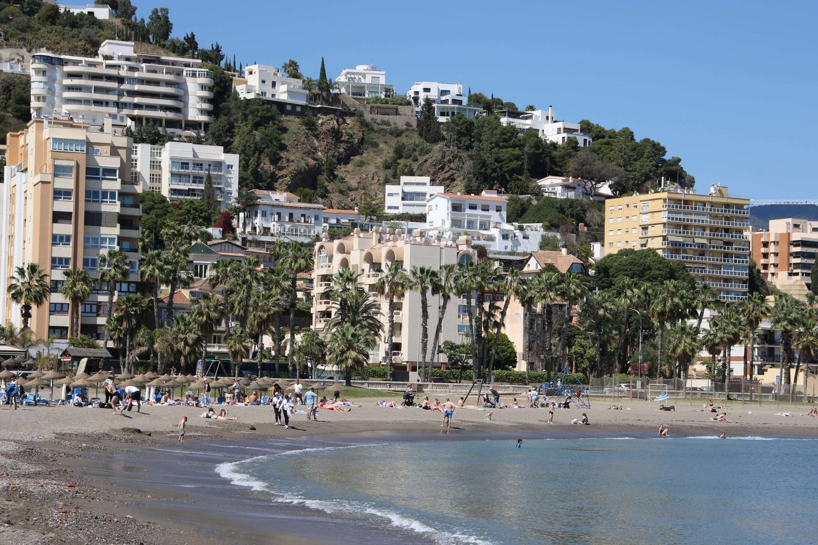 malagueta